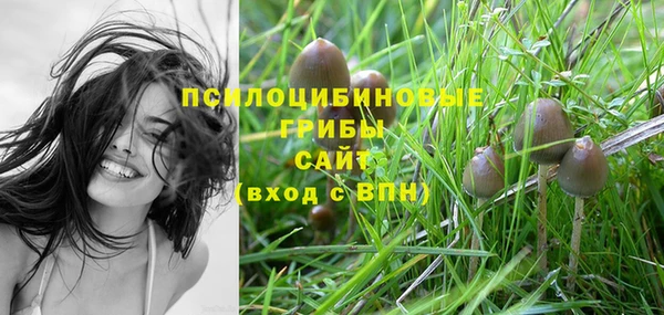 МДМА Армянск