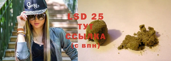 трава Аркадак