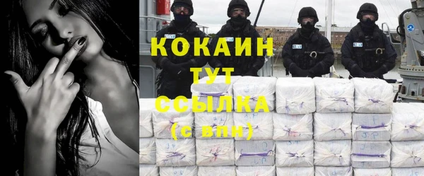 трава Аркадак