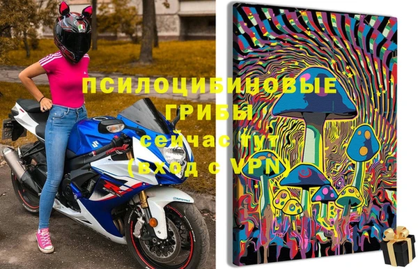 трава Аркадак
