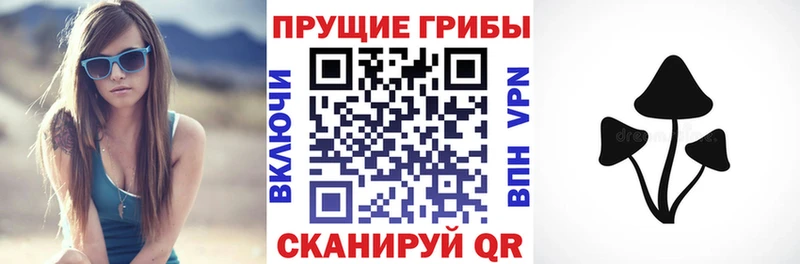 Купить  Новосибирск  Галлюциногенные грибы MAGIC MUSHROOMS 